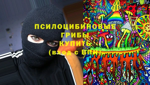 ПСИЛОЦИБИНОВЫЕ ГРИБЫ Абдулино