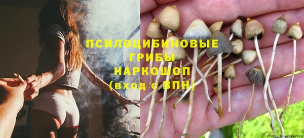 спиды Алексин