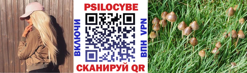 Галлюциногенные грибы MAGIC MUSHROOMS  даркнет состав  Сорочинск  что такое  